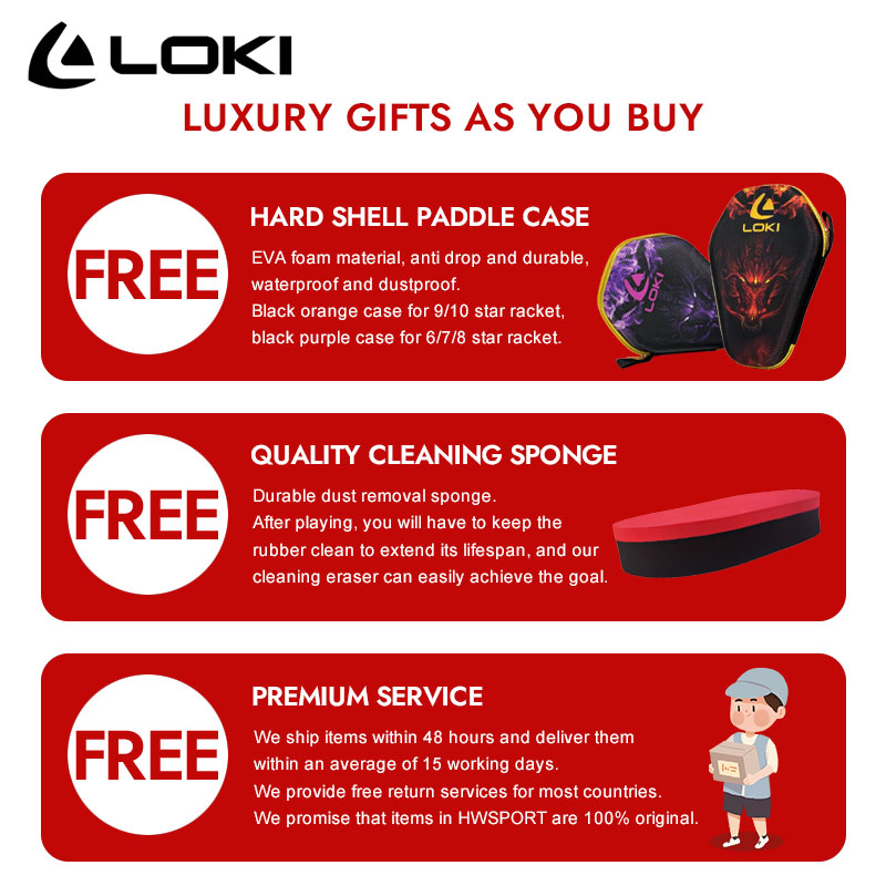 LOKI DRAGON 10 STAR Tischtenni – Table Tennis Movie Bewertung und Preis